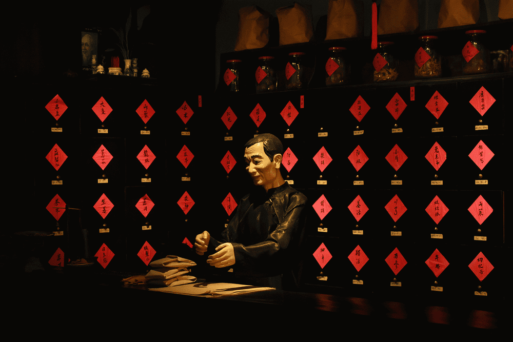 The space preserves herbal medicine in the traditional style of ancient healers (Source: Hoi An Museum)